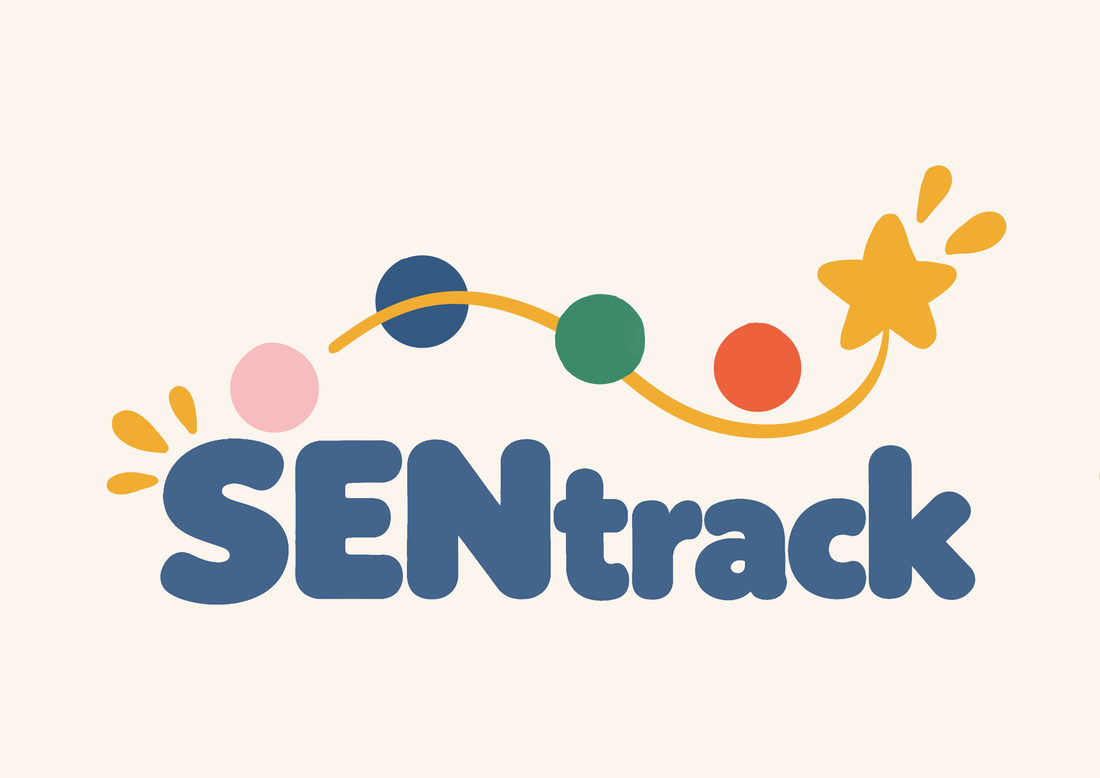 SENtrack: What is it?