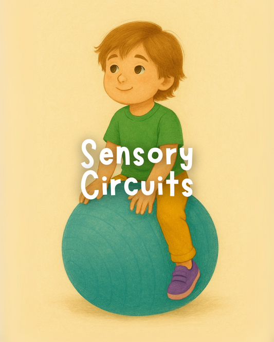 Sensory Circuits