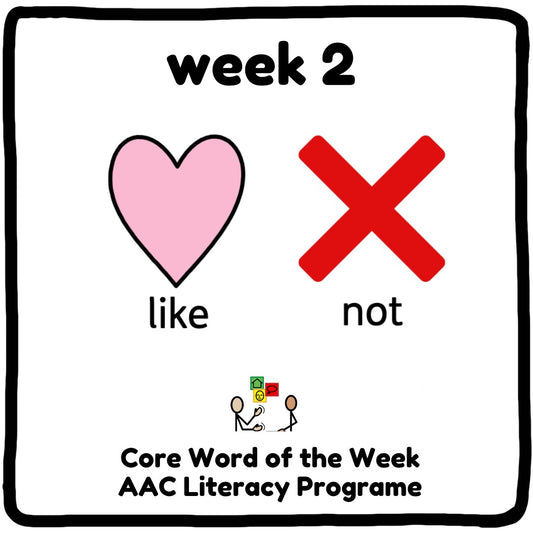 Core Word Programme Week 2 - "Not Like"