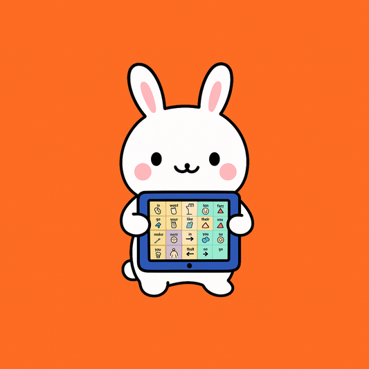 What to Say When You’re Challenged About the Core Word Programme in your Setting