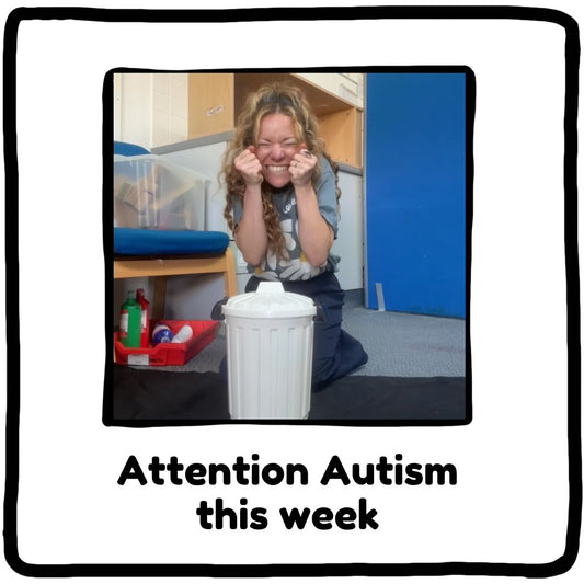 Attention Autism - Core Word Week 4 "It"