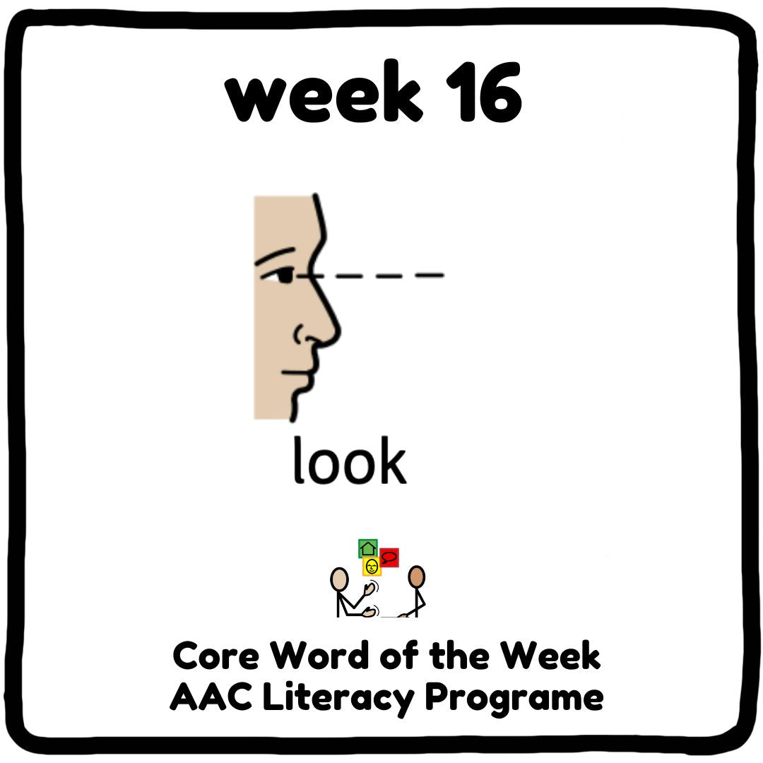 Core Word Programme Week 16 - "Look"