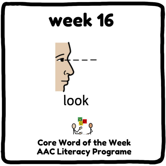 Core Word Programme Week 16 - "Look"