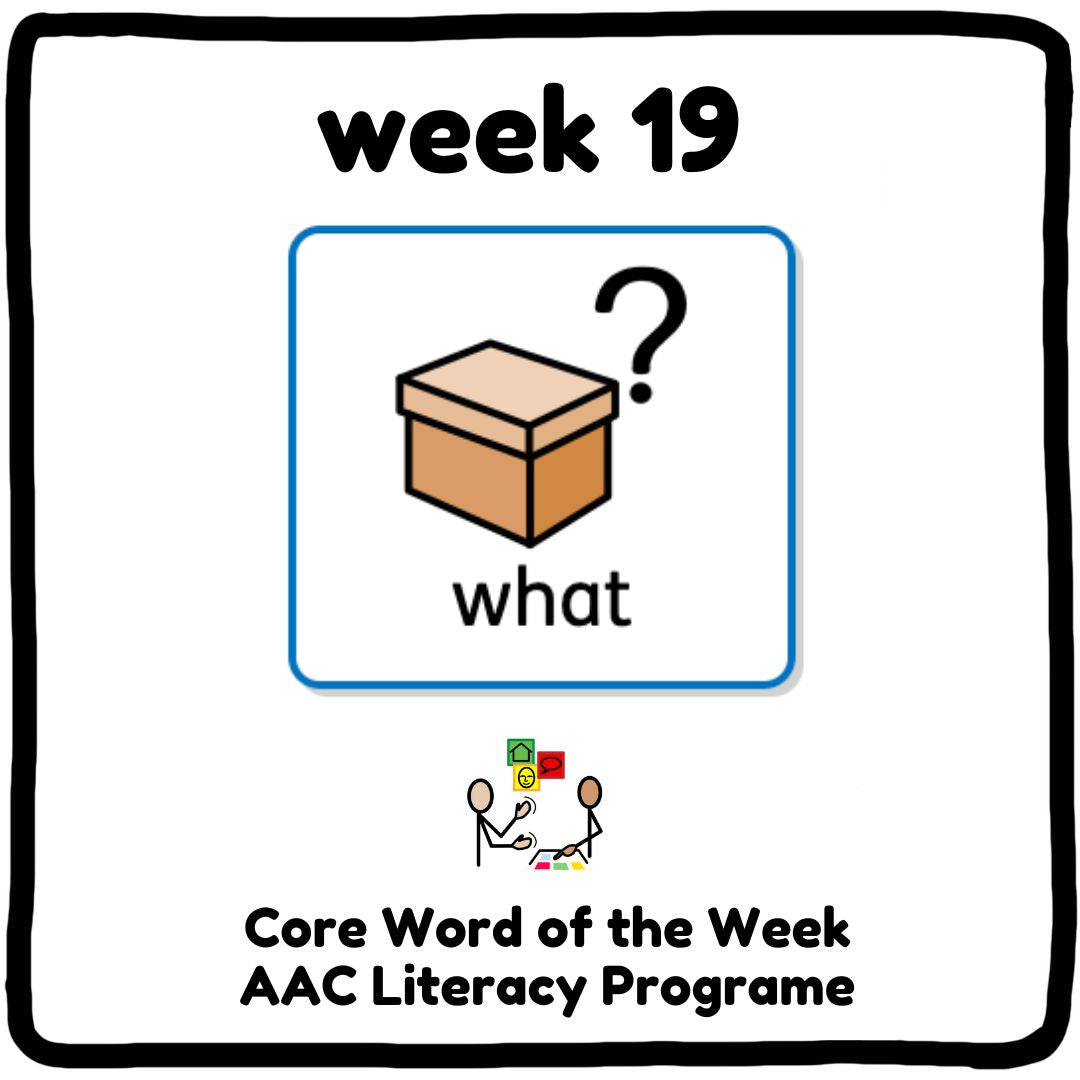 My Core Word Programme Week 19 - "What"