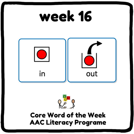 My Core Word Programme Week 16 - "In" and "Out"