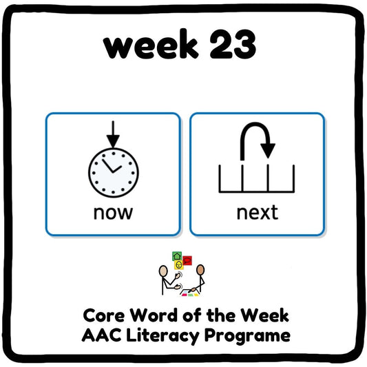 My Core Word Programme Week 23 - "Now" and "Next"