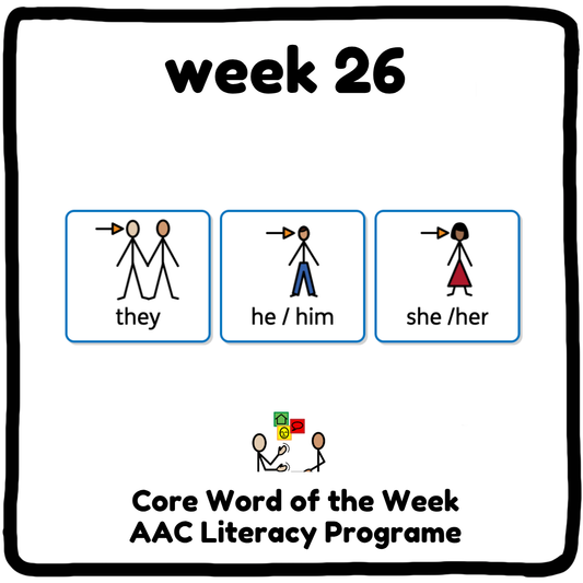 My Core Word Programme Week 26 - "They/he/she"