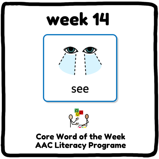 My Core Word Programme Week 14 - "See"