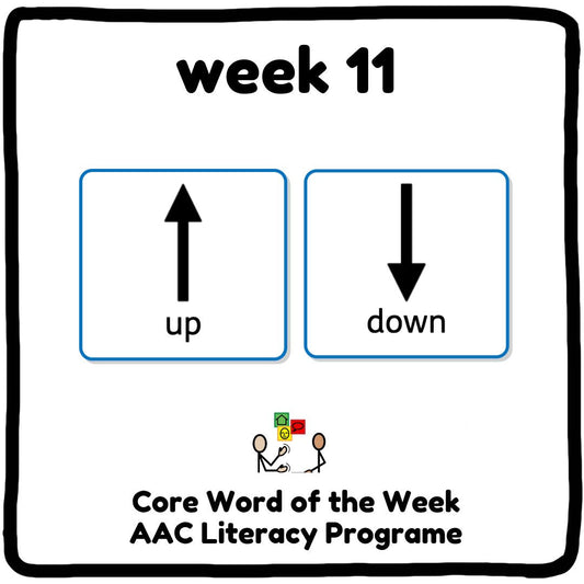 My Core Word Programme Week 11 - "Up" and "Down"