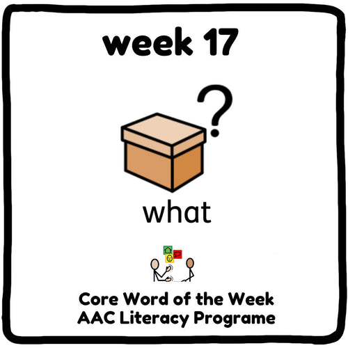 Core Word Programme week 17 - 'What'