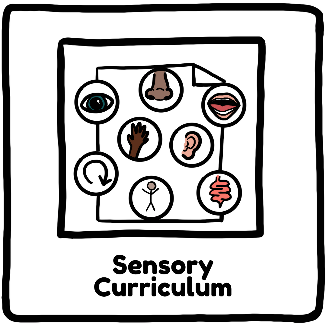 FULL Sensory Curriculum