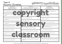 Termly Drip Fed Sensory Curriculum option