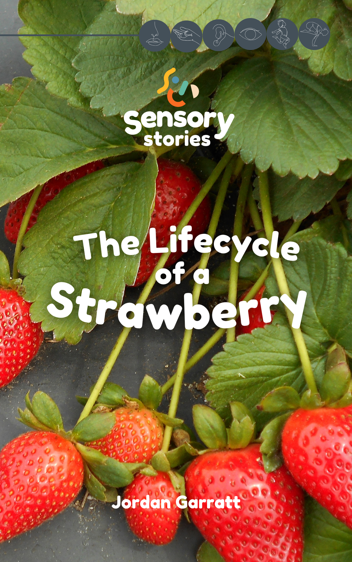 Sensory Stories