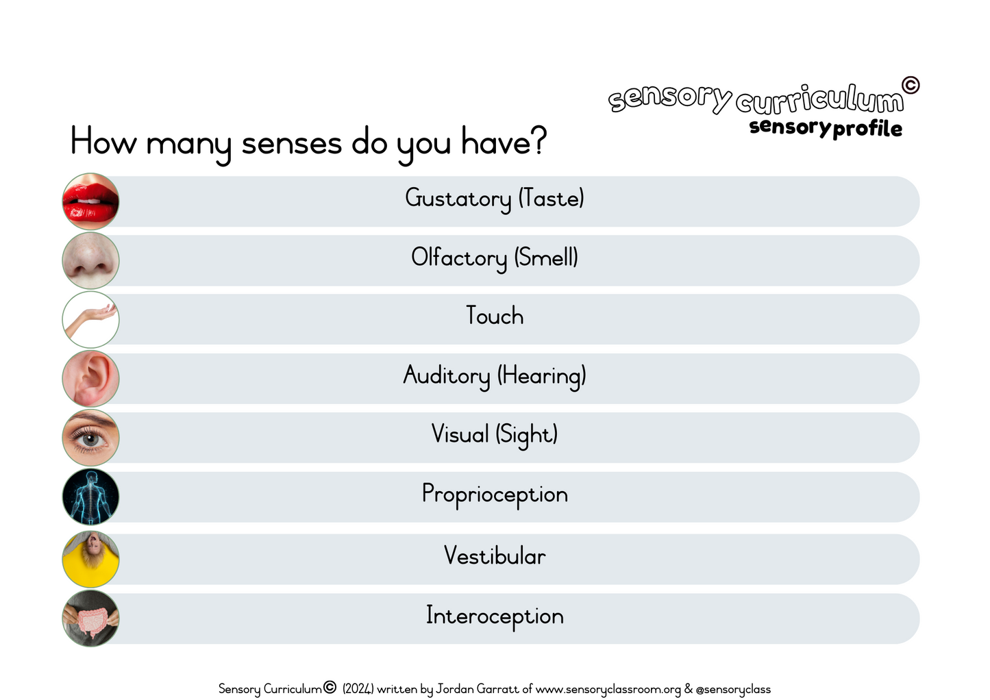 Sensory Profiling Tool