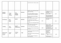 Plantilla de evaluación de riesgos