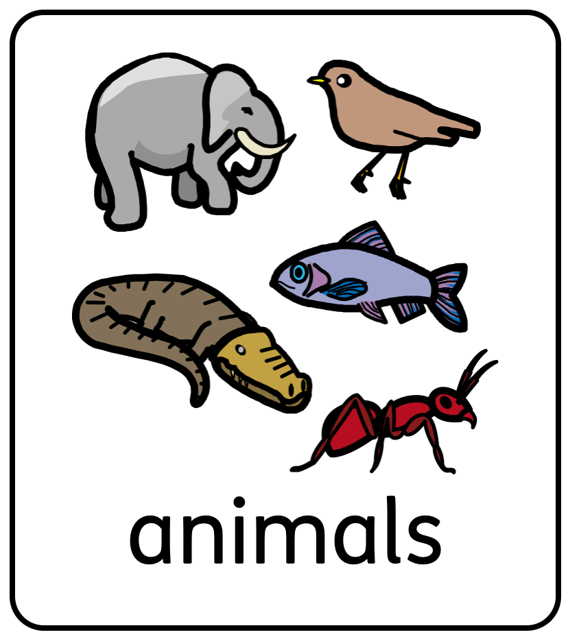 Símbolos animales