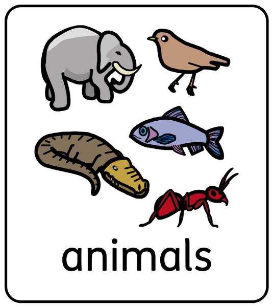 Animal Symbols