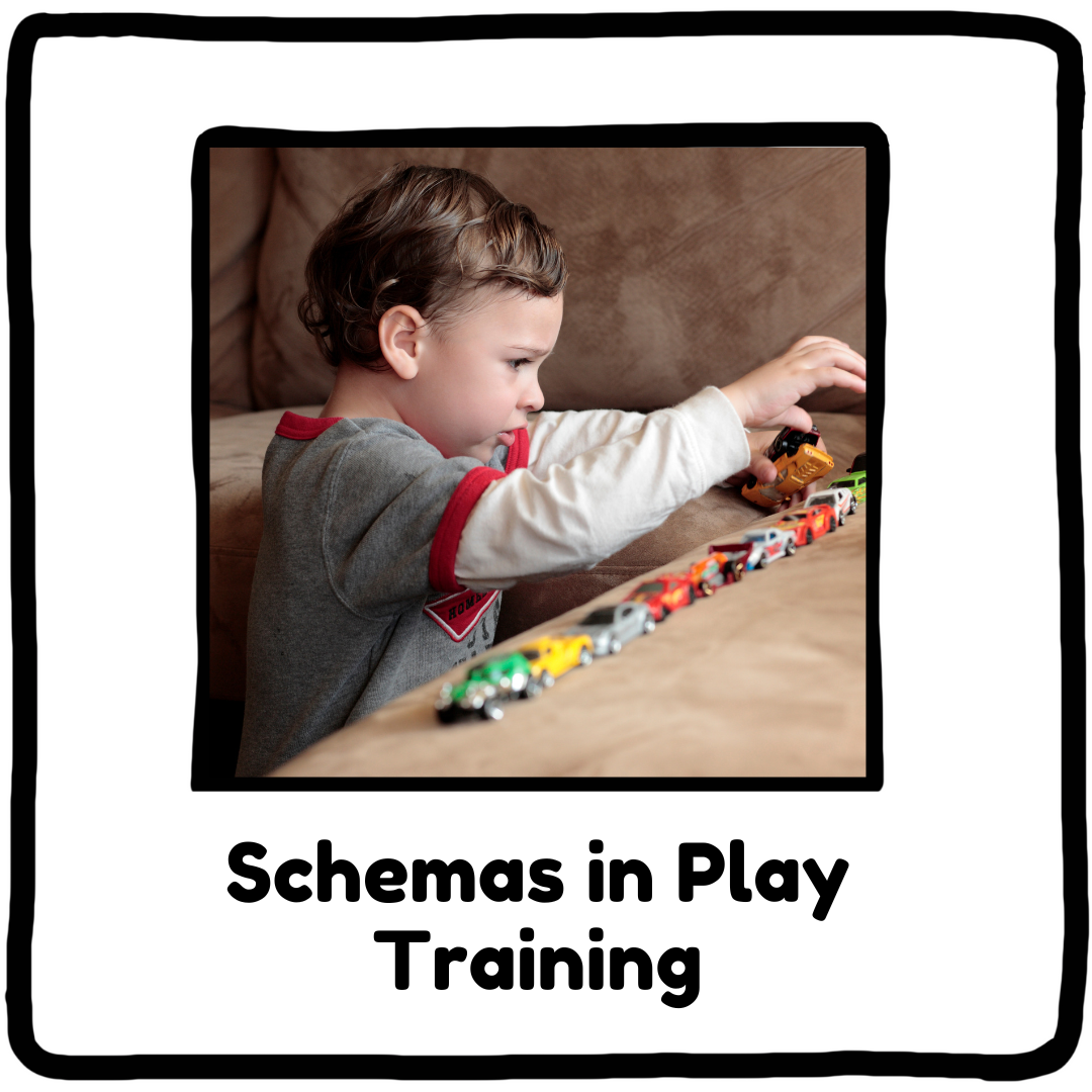 Schemas in Play Training