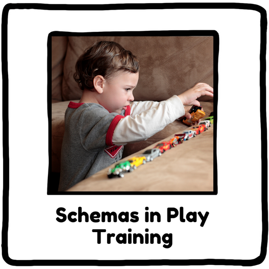 Schemas in Play Training