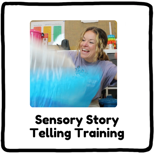 Sensory Story Theory Training